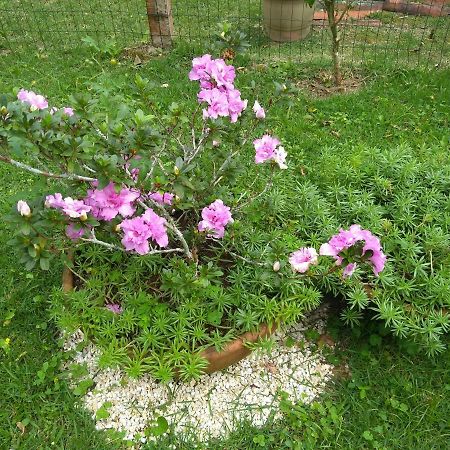 Kitnet E Suite Morada Aguiar - Chale Abraão Zewnętrze zdjęcie